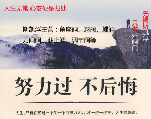 九游入口阀门