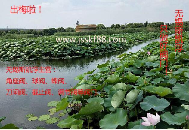 荷花.无锡九游入口阀门