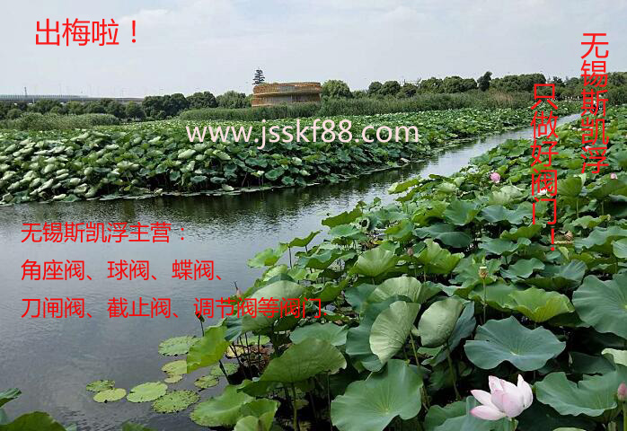 出梅啦 九游入口角座阀
