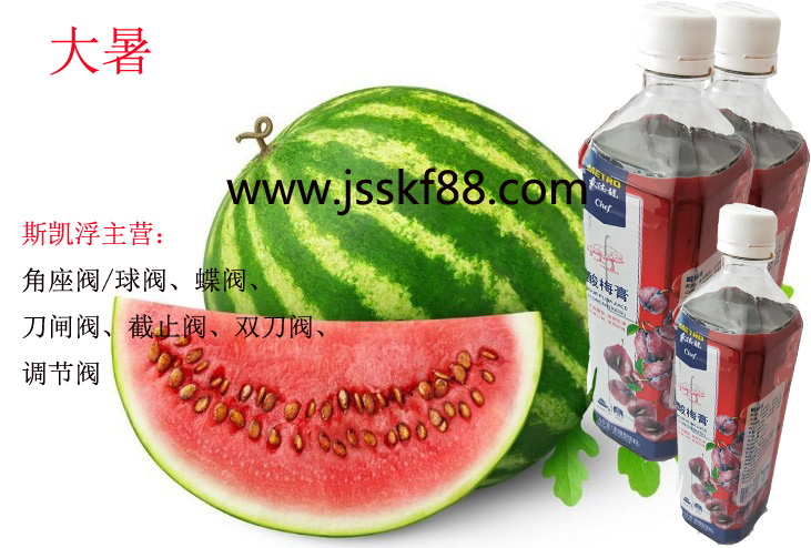 九游入口角座阀